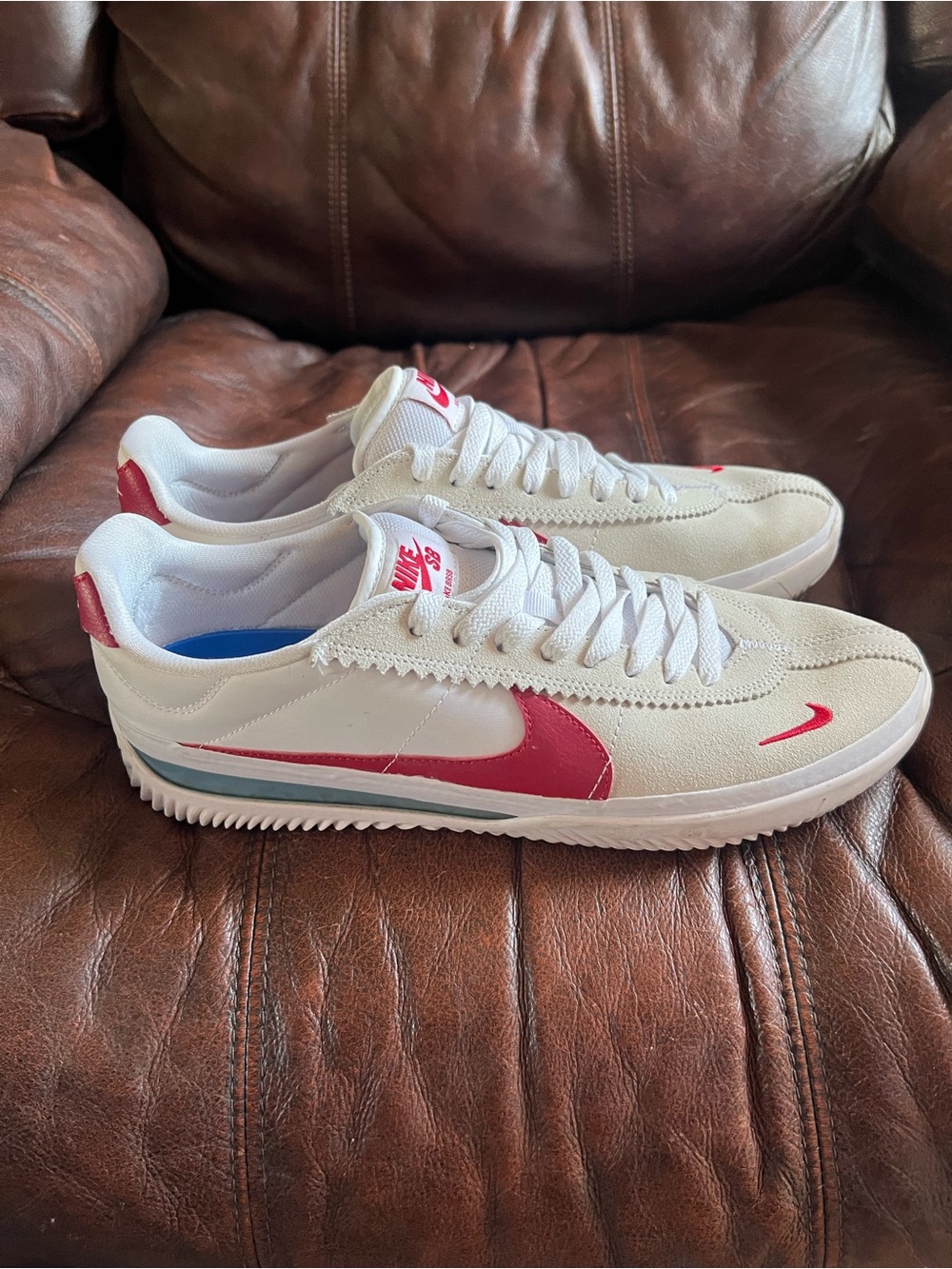 Nike SB Men’s White and Red Low-Top Sneaker